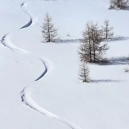 Soleil Des Neiges