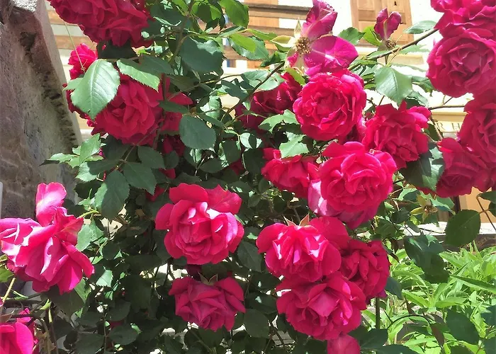 Hotel Soleil Des Neiges 2*